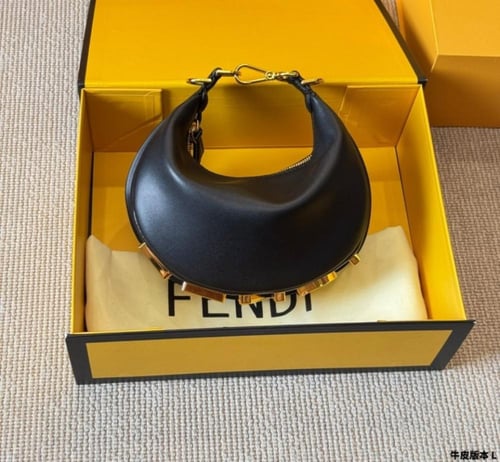 Fendi mini graphy