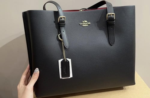 Coach Mollie tote bag
