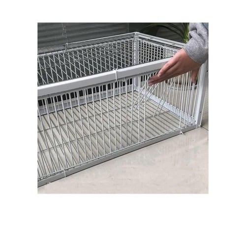 فخ من 4 اتجاهات فخ