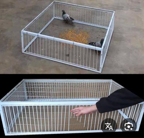 فخ من 4 اتجاهات فخ