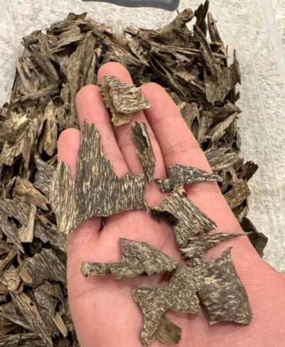 عود فيتنامي زوايا وقواقع سوبر مرتفع