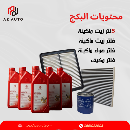 بكج صيانة ام جي 6