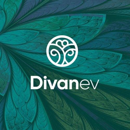 منتج تقسيط DivanEV