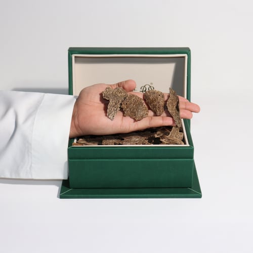 سيلاني سبيشل