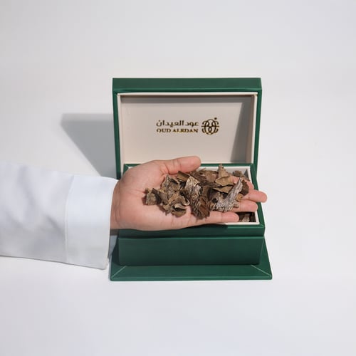 دقة زوايا تراد سبيشل