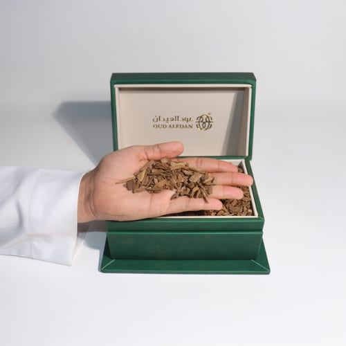 مروكي رايز رويال