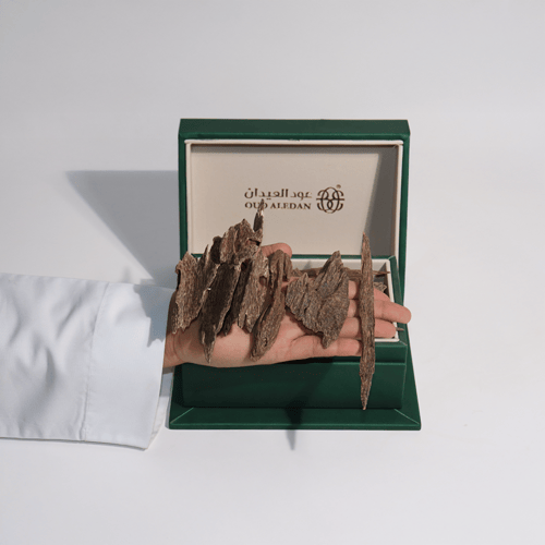 صفايح بونتيانك ذهبية