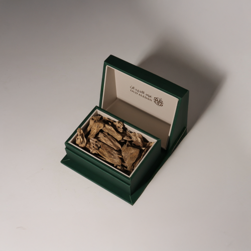 مروكي حي ميني الضيافة