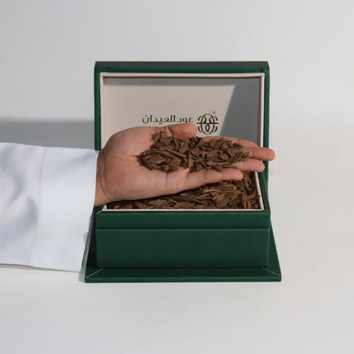 مروكي تري (كي بي)