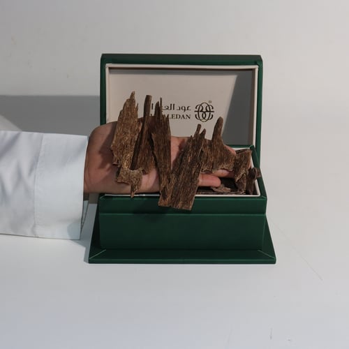 ماليزي ميني VIP