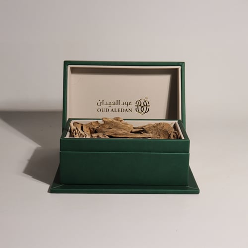 مروكي حي ميني الضيافة