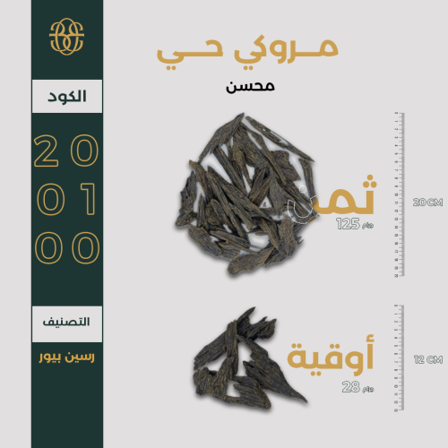 مروكي حي محسن