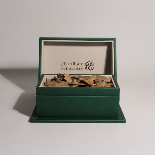 مروكي حي ميني المجالس