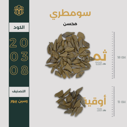 سومطري محسن