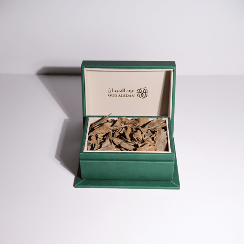 مروكي حي ميني سبيشل