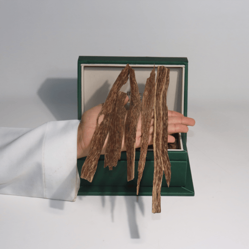 رقائق لاوسي B