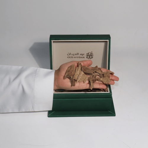 مروكي حي ميني سوبر وأعلى