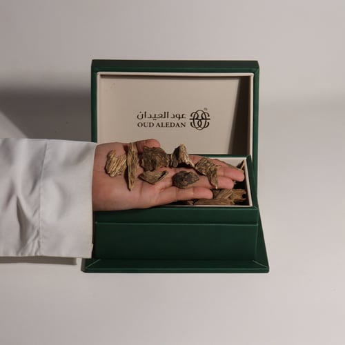 مروكي حي ميني المجالس