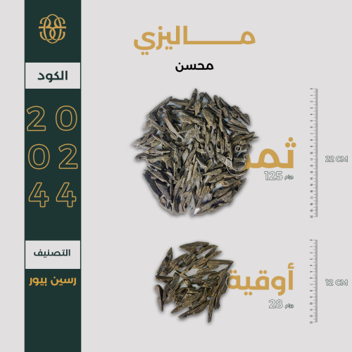 ماليزي محسن