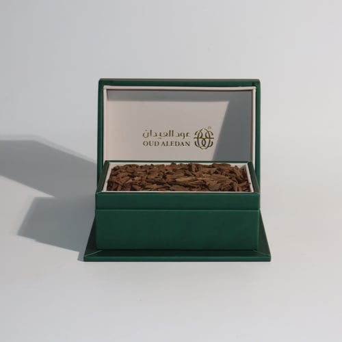 مروكي تري (كي بي)