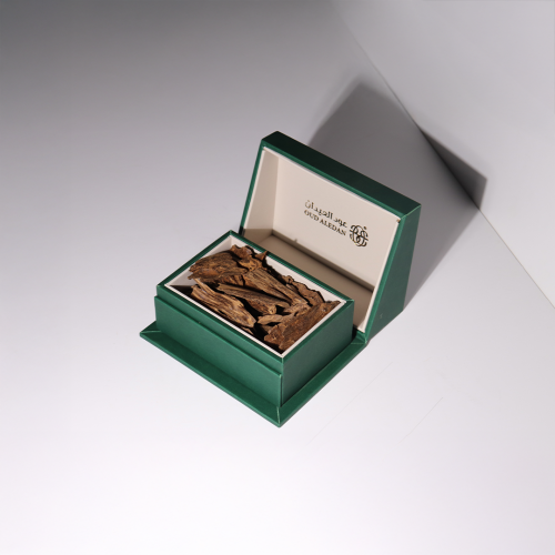 كمبودي غابات قديم