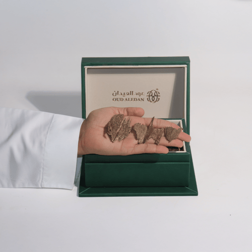 دقة بونتيانك ذهبية