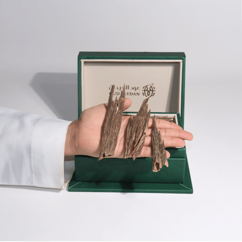 هندي الضيافة