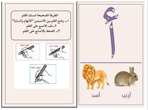بكح رياض الأطفال ( تمهيدي)٤ ملفات بصيغة