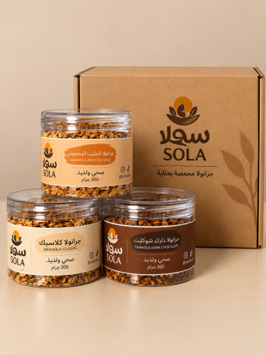 البكج الاقتصادي الكبير