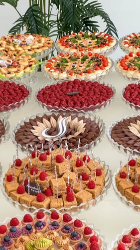 بكج ٢٤ صينيه