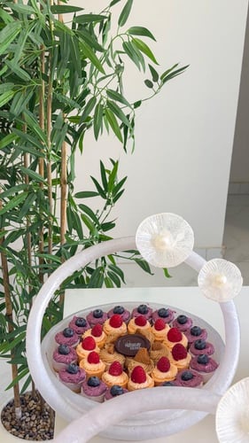 بكج ٤ صواني