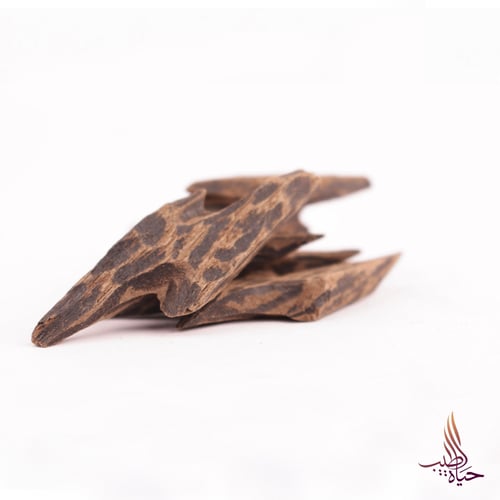 عود فيتنامي محسّن "تايقر"