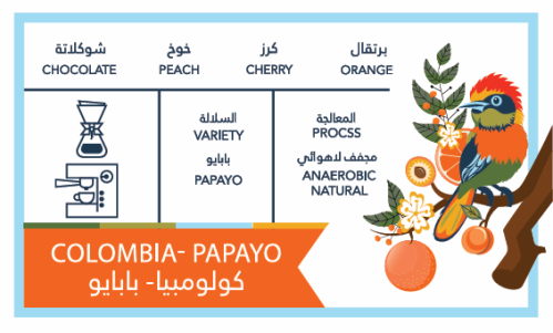 كولومبيا - بابايو - محمصة كافيين باتش