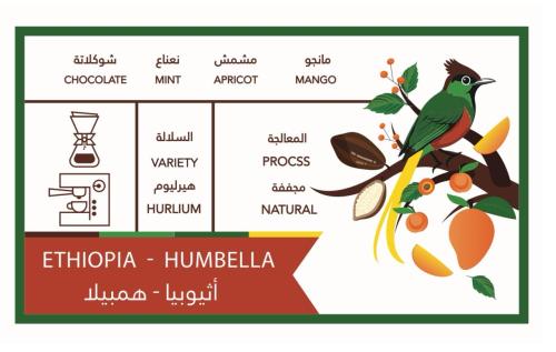 اثيوبيا - همبيلا - محمصة كافيين باتش