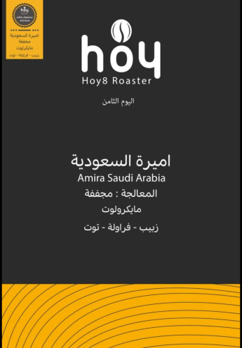 اليوم الثامن - أميرة السعودية