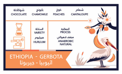 اثيوبيا - جيربوتا - محمصة كافيين باتش