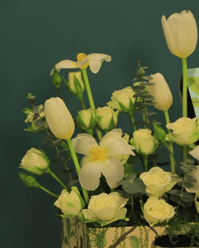 ورد مع شوكولاتة T5 – بتنسيق فاخر