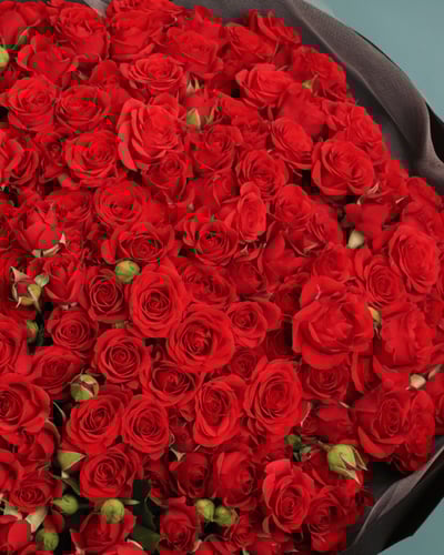 باقة الحُب الكبير