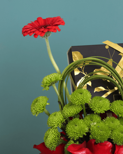 نَبض الأناقة – ورد جوري وجربيرا مع تشوكلت أنوش