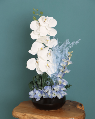 فازة بشارة زرقاء