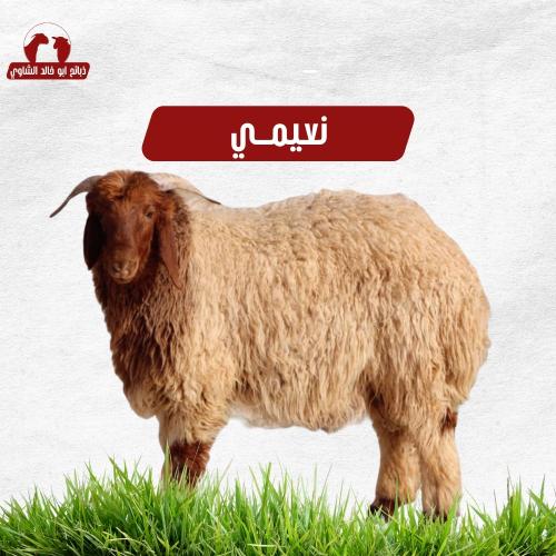 هرفي