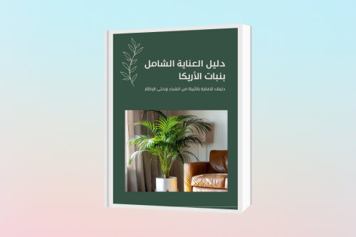 دليل العناية الشامل بنبات الأريكا