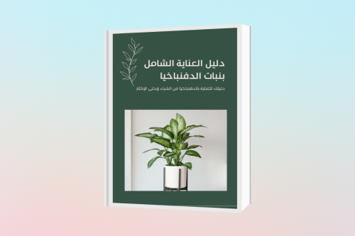 دليل العناية الشامل بنبات الدفنباخيا