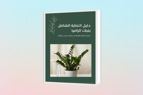 دليل العناية الشامل بنبات الزاميا