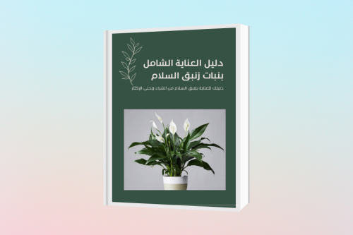 دليل العناية الشامل بنبات زنبق السلام