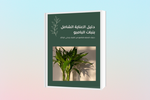 دليل العناية الشامل بنبات البامبو