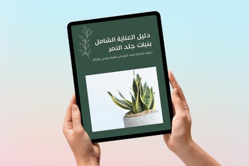 دليل العناية الشامل بنبات جلد النمر
