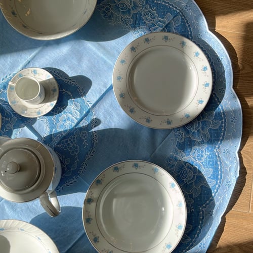 صحون فنتج بتوريد أزرق