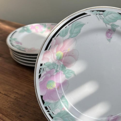 نص درزن صحون صين فنتج