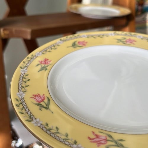 صحون فنتج صناعة يابانية من مجموعة زهرة التوليب الو...